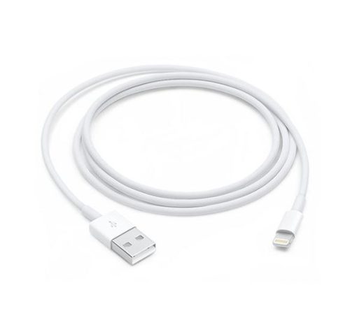 Cavo Apple da Lightning a USB - 1m